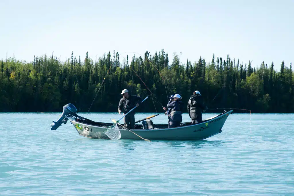 Drifter's Lodge guide nets a fish for clients on a guided fishing trip on the turquoise waters of the Kenai River.
